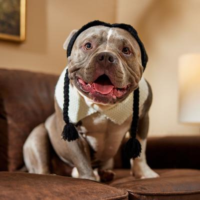 Show full view: Frisco Gothic School Girl Dog & Cat Costume Accessory, X-Large/XX-Large slide 6 of 9