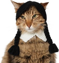 Frisco Gothic School Girl Dog & Cat Costume Accessory, X-Small/Small