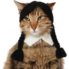Frisco Gothic School Girl Dog & Cat Costume Accessory, X-Small/Small