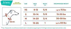Frisco Green Ombre Style Dog Collar, MD - Neck: 14 – 20-in, Width: 3/4-in slide 2 of 5