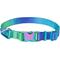 Show in main carousel: Frisco Green Ombre Style Dog Collar, SM - Neck: 10 – 14-in, Width: 5/8-in slide 1 of 6