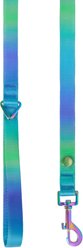 Frisco Green Ombre Style Dog Leash, LG - Length: 6-ft, Width: 1-in slide 2 of 5