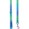 Show in main carousel: Frisco Green Ombre Style Dog Leash, LG - Length: 6-ft, Width: 1-in slide 2 of 6