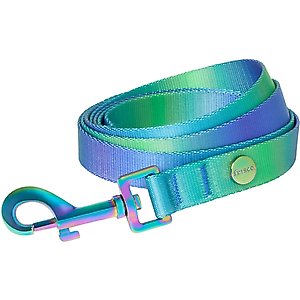 Frisco Green Ombre Style Dog Leash, MD - Length: 6-ft, Width: 3/4-in