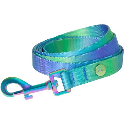 Frisco Frisco Green Ombre Style Dog Leash, MD - Length: 6-ft, Width: 3/4-in