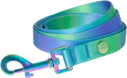Frisco Green Ombre Style Dog Leash, SM - Length: 6-ft, Width: 5/8-in