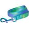 Show in main carousel: Frisco Green Ombre Style Dog Leash, SM - Length: 6-ft, Width: 5/8-in slide 1 of 6