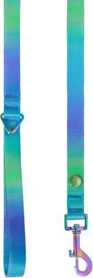 Show full view: Frisco Green Ombre Style Dog Leash, SM - Length: 6-ft, Width: 5/8-in slide 2 of 6