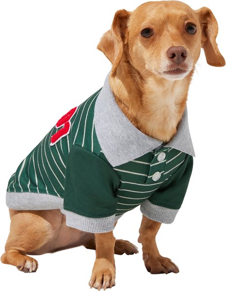 FRISCO Green Rugby Dog Cat Polo Shirt, Large