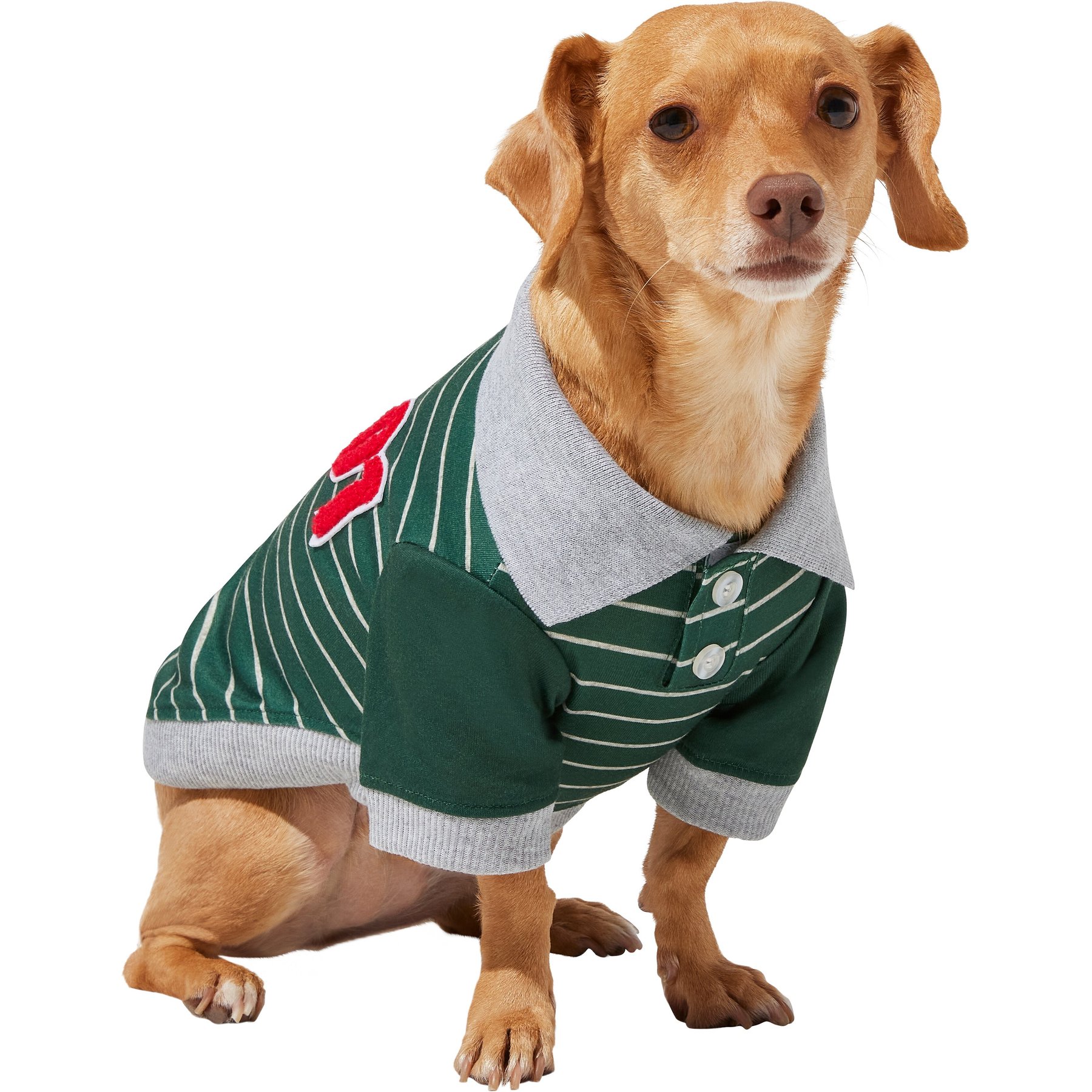 Frisco Green Rugby Dog & Cat Polo Shirt, Large