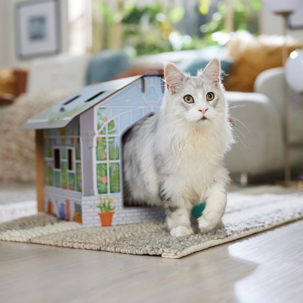 Show full view: Frisco Greenhouse Cardboard Cat House slide 5 of 8