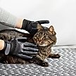 Show in main carousel: Frisco Grooming Glove, Black, Medium/Large slide 6 of 9