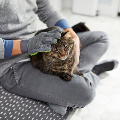 Show full view: Frisco Grooming Glove, Right Hand slide 6 of 9