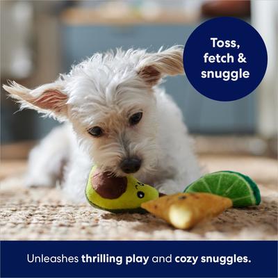 Show full view: Frisco Guacamole Hide & Seek Puzzle Plush Squeaky Dog Toy Refills, Small, 3 count slide 6 of 8