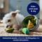 Show in main carousel: Frisco Guacamole Hide & Seek Puzzle Plush Squeaky Dog Toy, Small slide 5 of 6