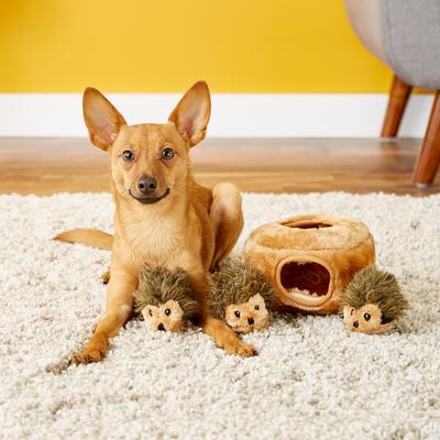 Show full view: Frisco Guacamole Hide & Seek Puzzle + ZippyPaws Burrow Dog Toy, Hedgehog Den, Puzzle Set slide 9 of 9