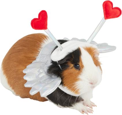 Show full view: Frisco Guinea Pig Cupid Costume, One Size slide 1 of 6