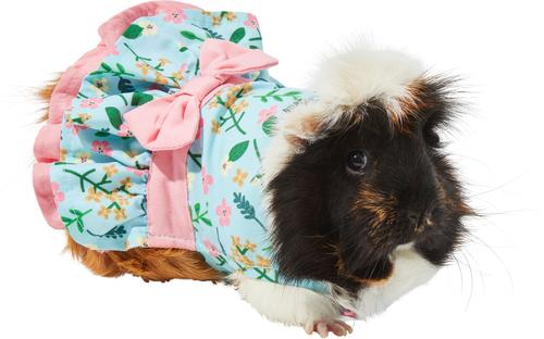 Show full view: Frisco Guinea Pig Floral Dress, Multi Color slide 1 of 6