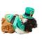 Show in main carousel: Frisco Guinea Pig St. Patrick's Day Costume, Green slide 1 of 6