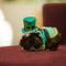 Show in main carousel: Frisco Guinea Pig St. Patrick's Day Costume, Green slide 5 of 6