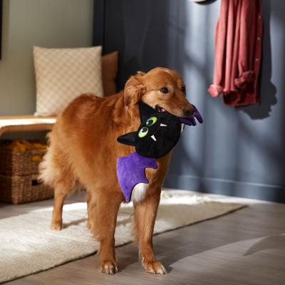Show full view: Frisco Halloween Bat Round Plush Squeaky Dog Toy, Medium/Large slide 3 of 7