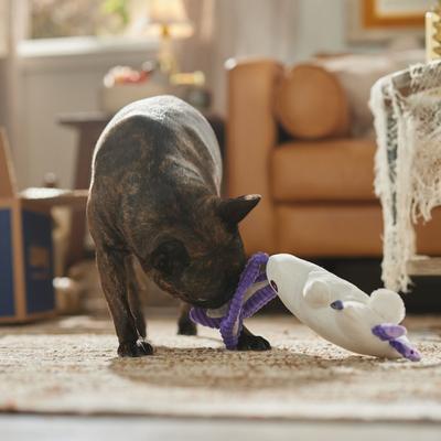 Show full view: Frisco Halloween Bunny Ghost Plush Squeaky Dog Toy, Medium/Large slide 4 of 7