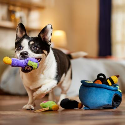 Show full view: Frisco Halloween Cauldron Hide & Seek Puzzle Plush Squeaky Dog Toy, Medium/Large slide 4 of 7