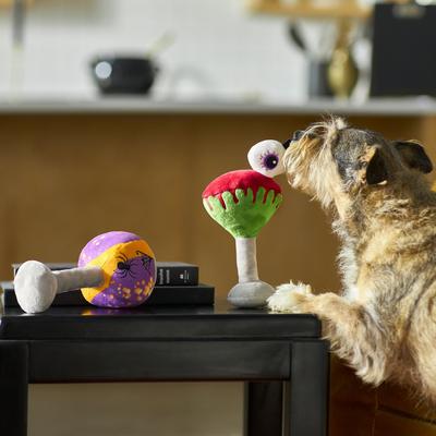 Show full view: Frisco Halloween Cocktail Plush Squeaky Dog Toy, Medium, 2 count slide 4 of 8