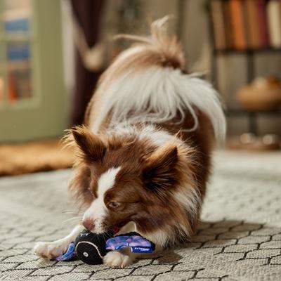 Show full view: Frisco Halloween Fetch Squeaky Tennis Ball Dog Toy, Bat, Large, 1 count slide 4 of 7