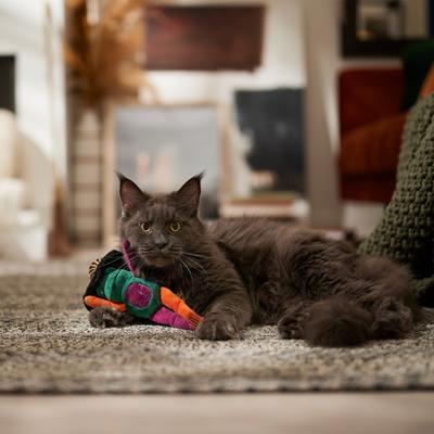 Show full view: Frisco Halloween Frog in Witch Hat Plush Kicker Cat Toy with Catnip slide 3 of 6