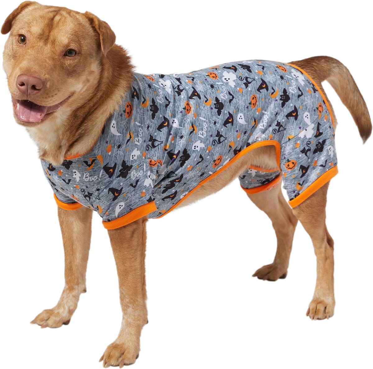 Frisco Feeling Witchy Dog & Cat Sweater