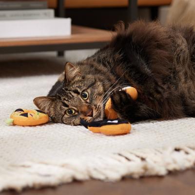 Show full view: Frisco Halloween Haunted Donuts Plush Cat Toy with Catnip, 3 count slide 4 of 7