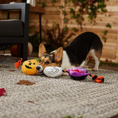 Show full view: Frisco Halloween Haunted Friends Plush with Rope Squeaky Dog Toy, Large slide 3 of 7