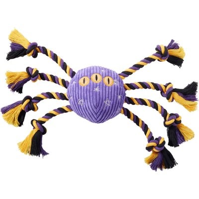 Frisco Frisco Halloween Magical Spider Plush with Rope Squeaky Dog Toy, Large