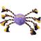 Show in main carousel: Frisco Halloween Magical Spider Plush with Rope Squeaky Dog Toy, Large slide 1 of 7