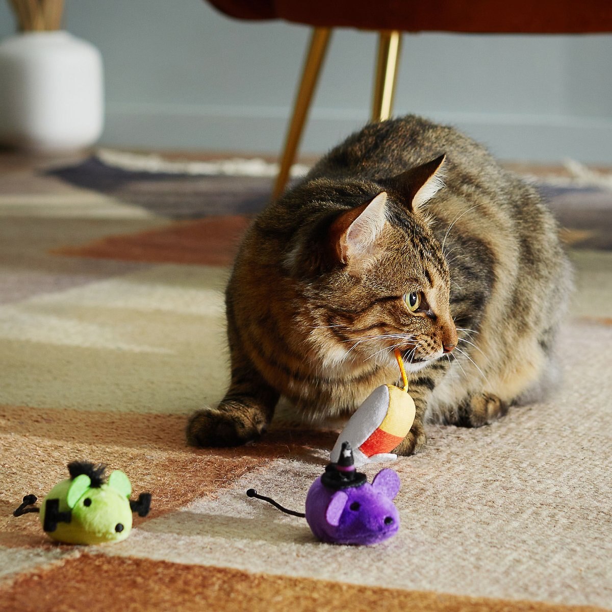 Frisco Pride Rainbow Plush Cat Toy with Silvervine