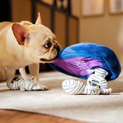 Show full view: Frisco Halloween Mummy & Coffin Hide & Seek Puzzle Plush Squeaky Dog Toy, Medium slide 5 of 9