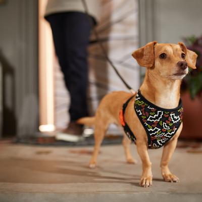 Show full view: Frisco Halloween Over-The-Head Reversible Bat Wing Vest Harness, Small slide 6 of 9