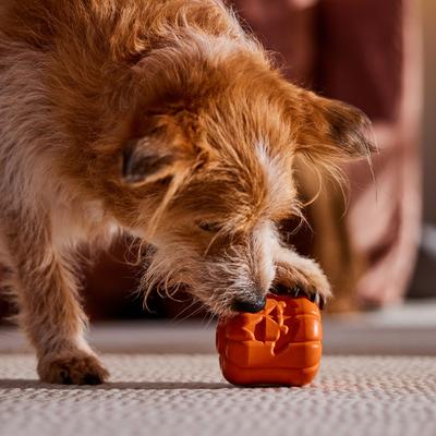 Show full view: Frisco Halloween Pumpkin Rubber Treat Dispenser Dog Toy, Medium/Large slide 6 of 9