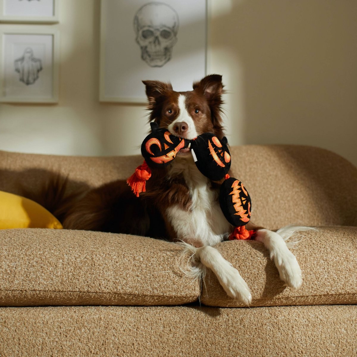 Frisco Halloween Bear Plush Dog Toy, Pumpkin