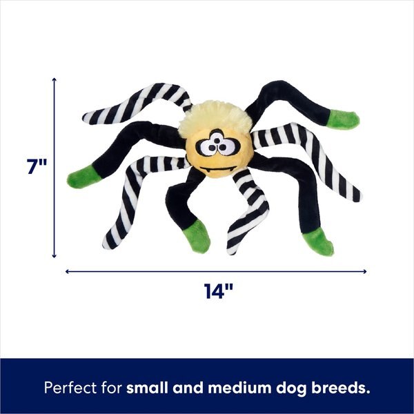 Frisco Halloween Spider's Web & Spider Flat Plush Interactive Squeaky Dog Toy