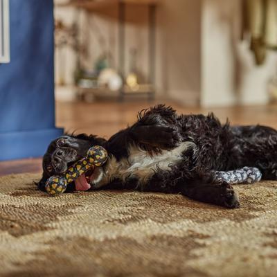 Show full view: Frisco Halloween TPR Bone Squeaky Dog Toy, Candy Corn & Ghosts, Medium/Large, 2 count slide 3 of 7