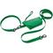 Show in main carousel: Frisco Hands Free Dog Leash with Removable Phone Pouch, Green, Medium/Large slide 1 of 10