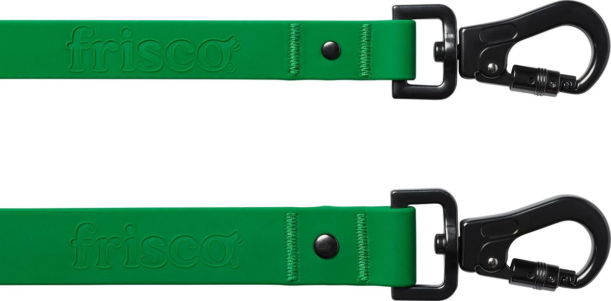 Frisco Block Art Dog Leash