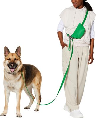 Show full view: Frisco Hands Free Dog Leash with Removable Phone Pouch, Green, Medium/Large slide 3 of 10