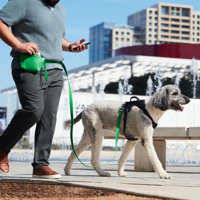Show full view: Frisco Hands Free Dog Leash with Removable Phone Pouch, Green, X-Small/Small slide 6 of 10