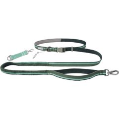 Frisco Hands-Free Running Dog Leash