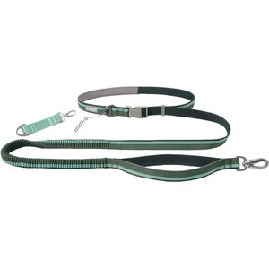 Frisco Hands-Free Running Dog Leash