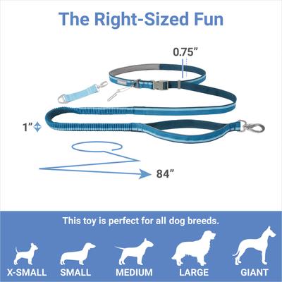 Show full view: Frisco Hands-Free Running Dog Leash slide 2 of 9
