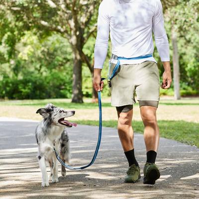 Show full view: Frisco Hands-Free Running Dog Leash slide 6 of 9